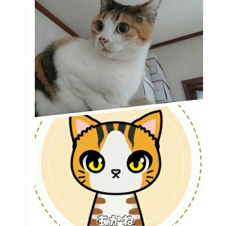 B78e4659 6829 4c50 8e74 c5c6a89ef67d