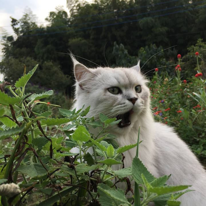 B78f5578 2aeb 44c9 8249 f7af8658d8c9