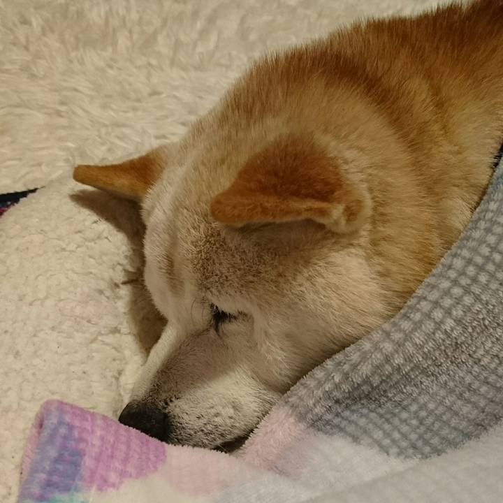 B78ff3f9 30e4 4b02 b2fb 54aa9c937bba