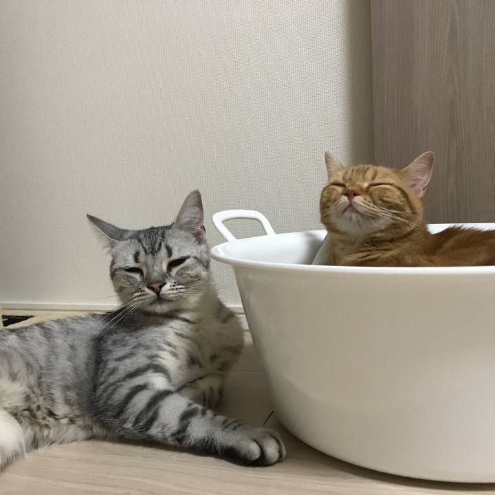 B78ff91f 09e5 4c79 ad66 ac1a8d8daea7