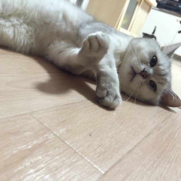 B7904ef6 9da3 4939 afee 3d3b28806924