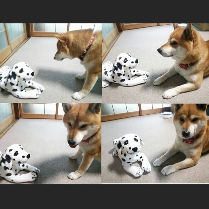 B790b36c b65a 41a0 a197 f9ff17a8ca83