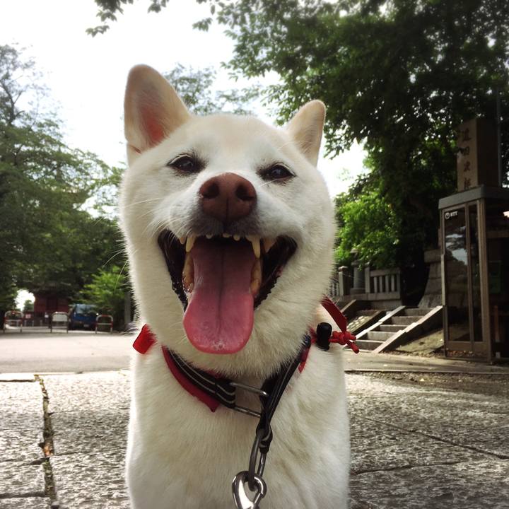 B7915864 a26b 4145 82d5 4062ec05dd8a