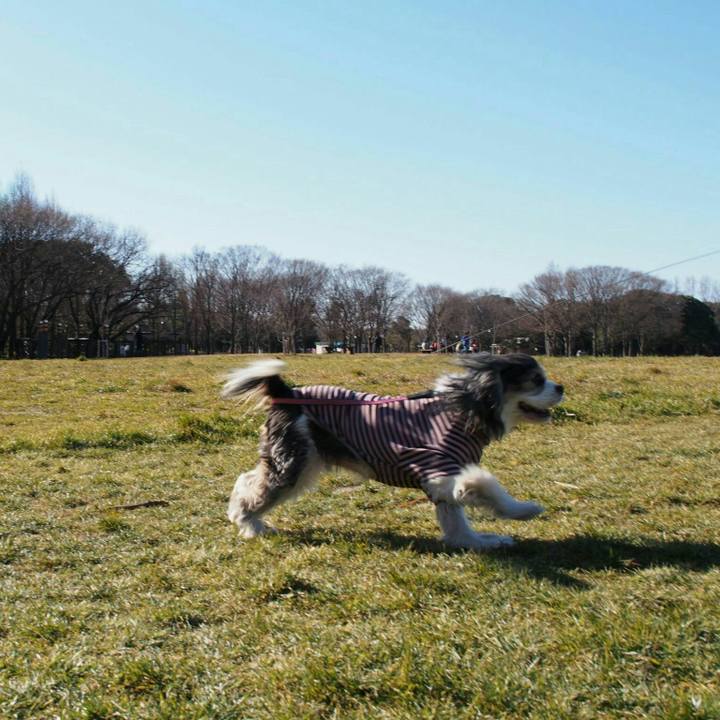 B791b91b 43aa 43bb a85c 407e5dcfca64