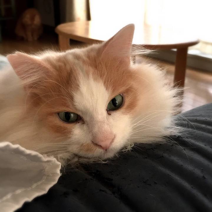 B791cd53 700d 4cac 805d 3705e8de3018