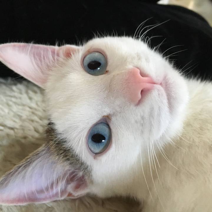 B791eba3 abe2 4c38 904d ff8005f35022