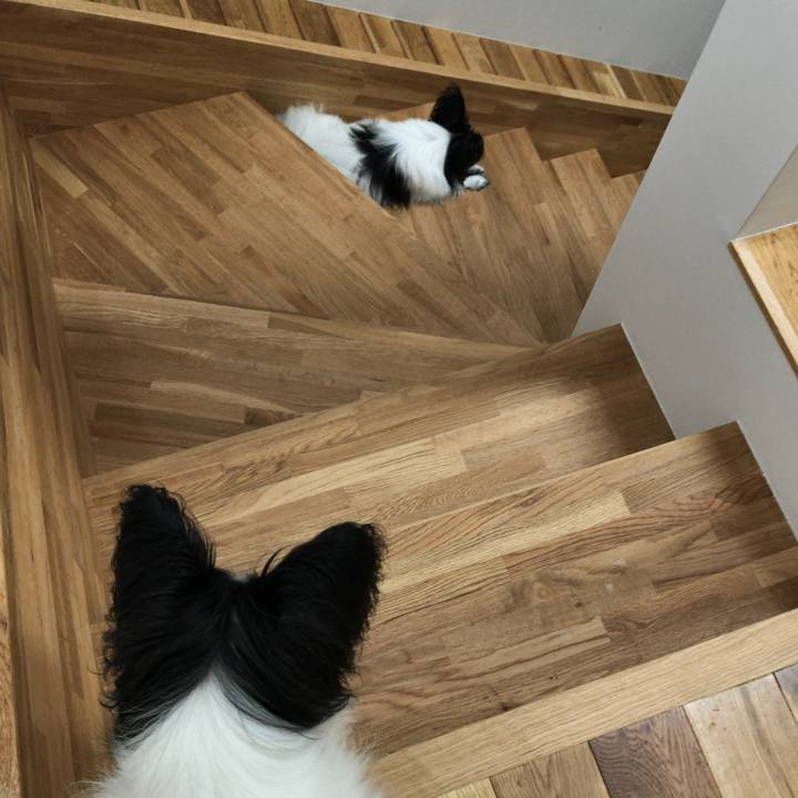 B79217fe 7579 40e2 991a cd02ac1d6648