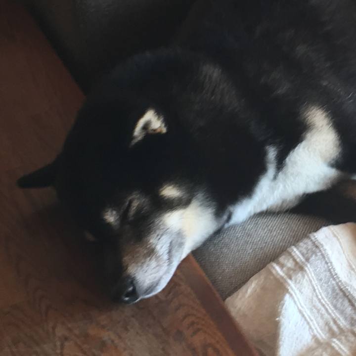 B7925067 bffd 455a 9b59 53744e22bc2b