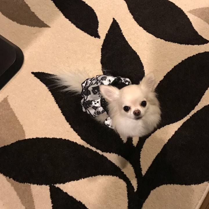 B7926449 3adf 4136 9d2c ab5f86e3e8c3