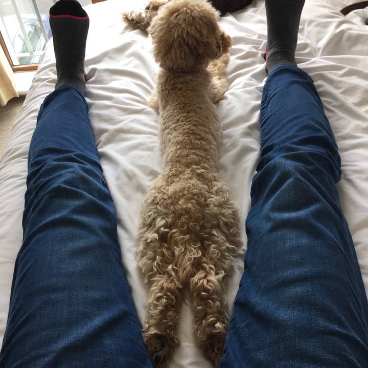 B792b935 a974 48f4 b88c 404d61f65f43