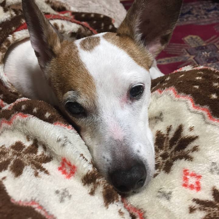 B79387df 706c 47d8 90b9 afb4d37f91f9