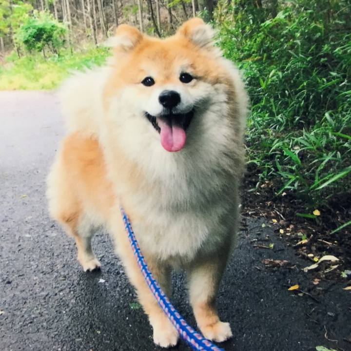 B793f4cb 6dba 489a 933d 9a4d9b73db2e