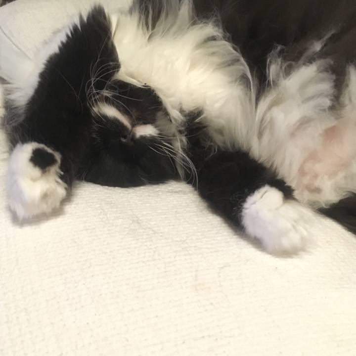 B7941c4f fb43 4a26 ba35 c9e18e4aed6c