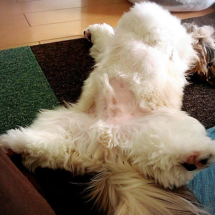 B794e0b8 91c6 49f2 b63a c2cb3dda43da