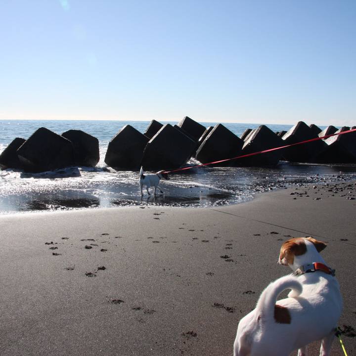 B7962370 b67d 4e3d 917d 2e3af5a3d287