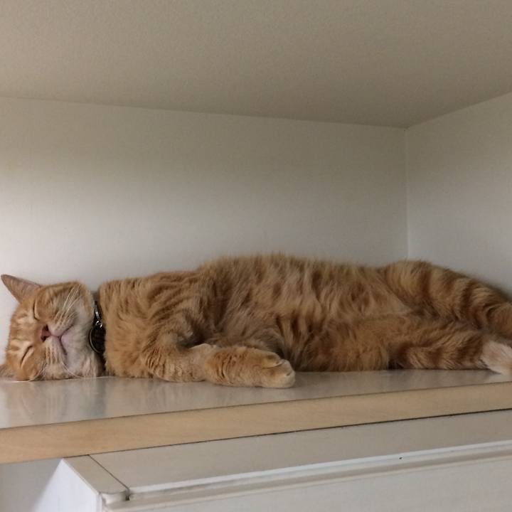 B7978dcb 492d 47b5 8a04 07fc9f3a6942