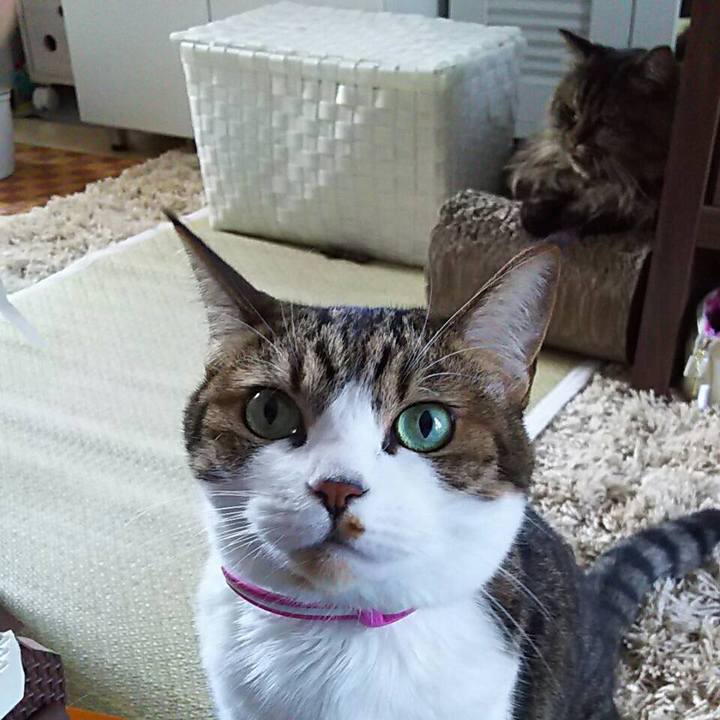 B797f2d3 6e77 4d93 a05d b43c0ec3c8be