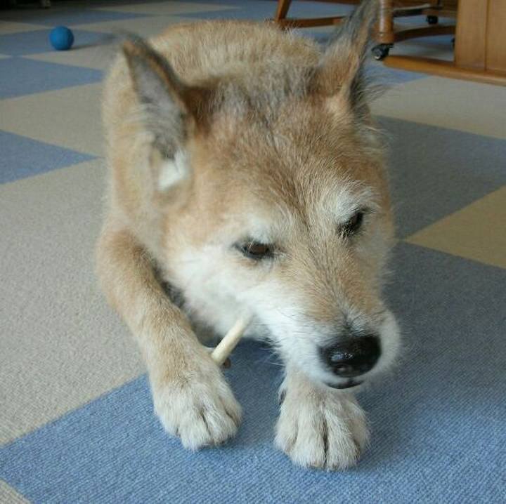 B7981c1d 4ddc 48bd bb5e 590dedc70582