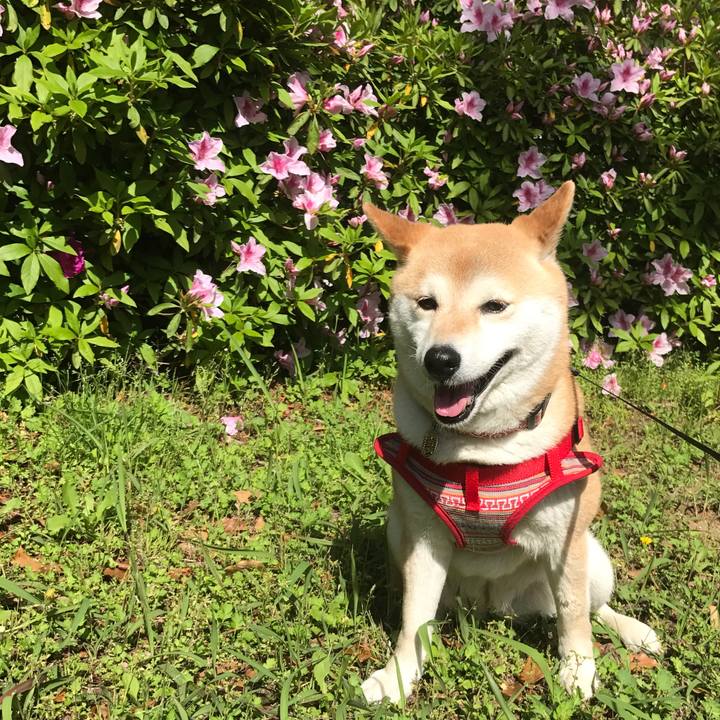 B798a81f aaac 459c 86ad fafab1334a4a