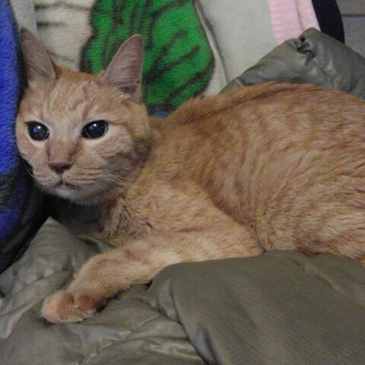 B798cdae acb6 434b a585 5a9e24ca4b37