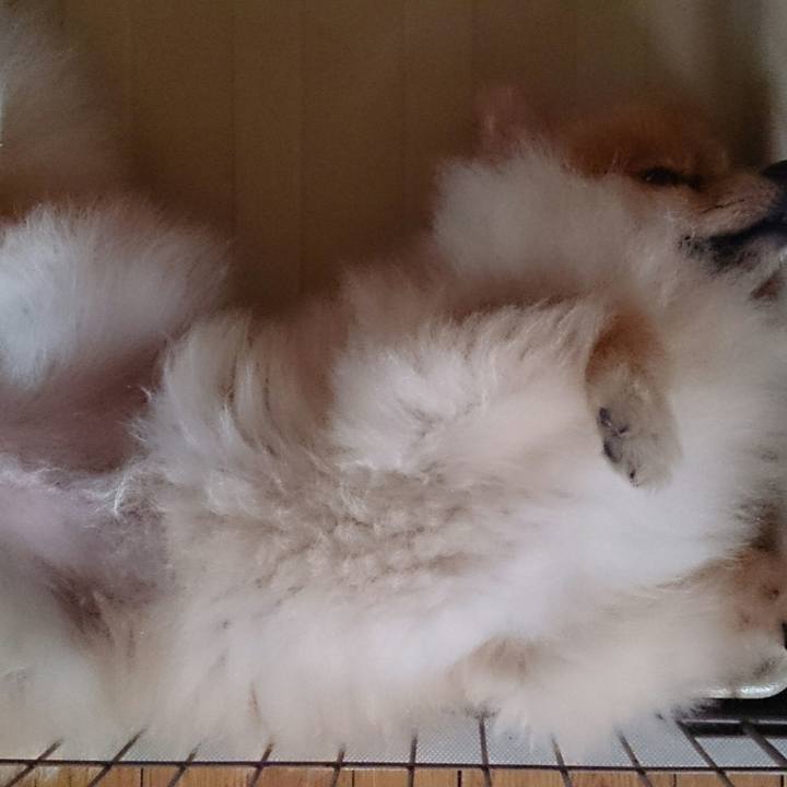 B7992e5a 89c1 4b0f a70b 38f12fc946e9