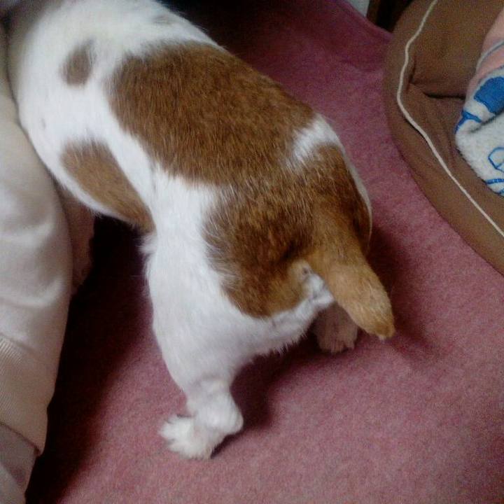 B7992f3b 8918 49b5 9e01 3517f4fae19b