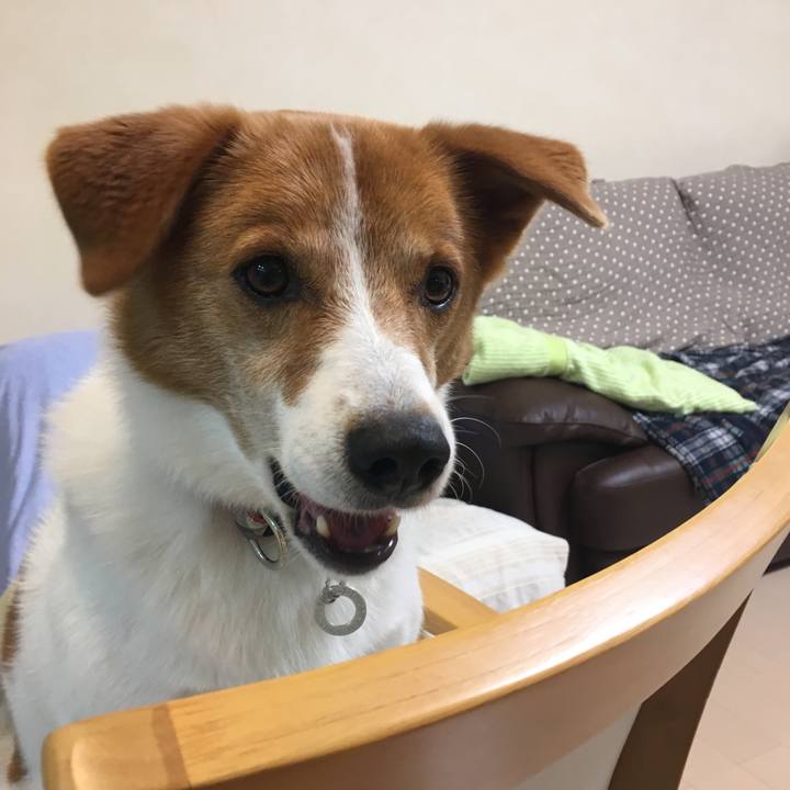 B799855e 7195 4856 8d51 1b725121ea43