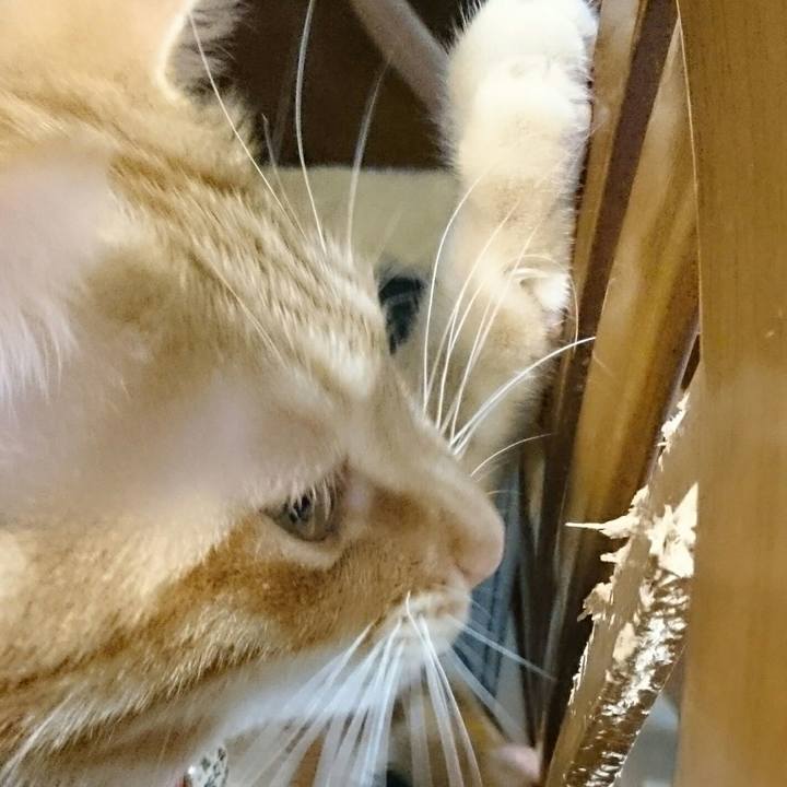 B7999730 4f33 466a 919f 218a6c3939a7