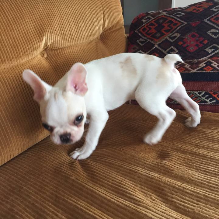 B79b4091 cf7d 4b6a 8e5c 8623a2546838