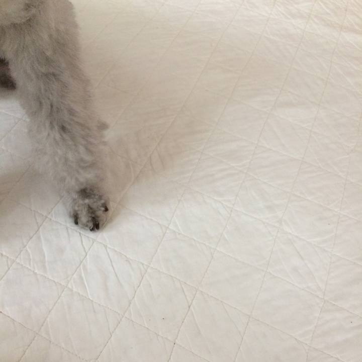 B79bcb37 4d2a 4454 93e6 454d62c002ec