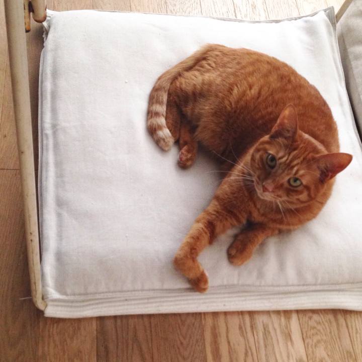 B79bea9e 7ddd 4e7f 8353 06c6307631f6