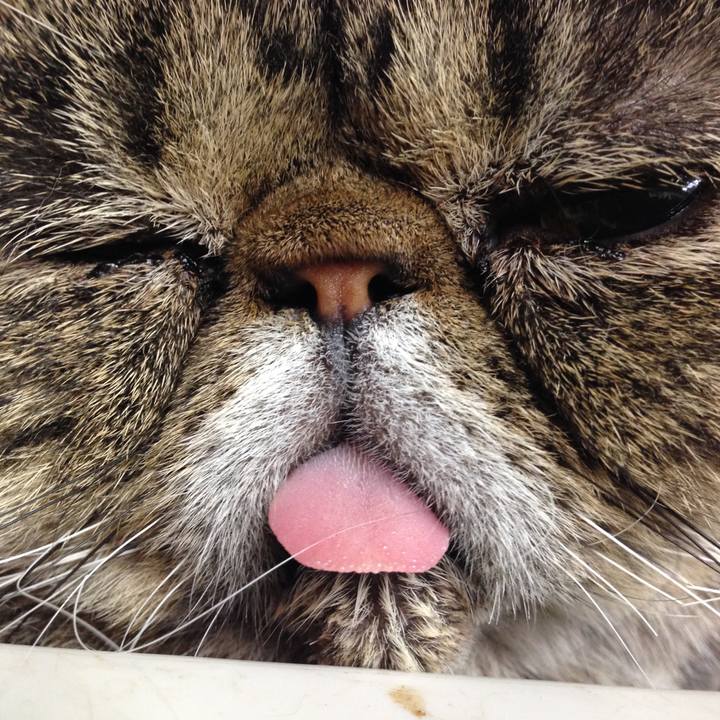 B79c384c cf32 4459 a719 88af2f3d9f00