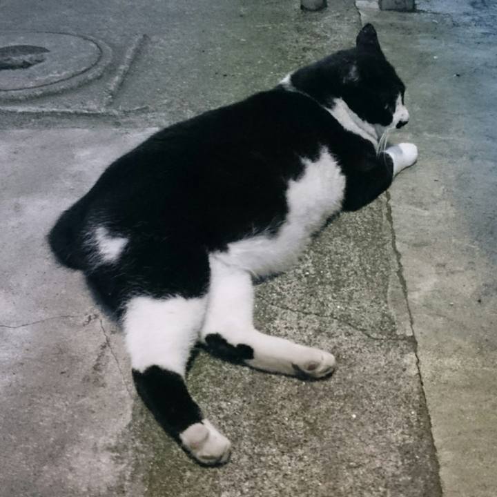 B79c8d16 f4c9 4da4 9096 69d0f73bf341