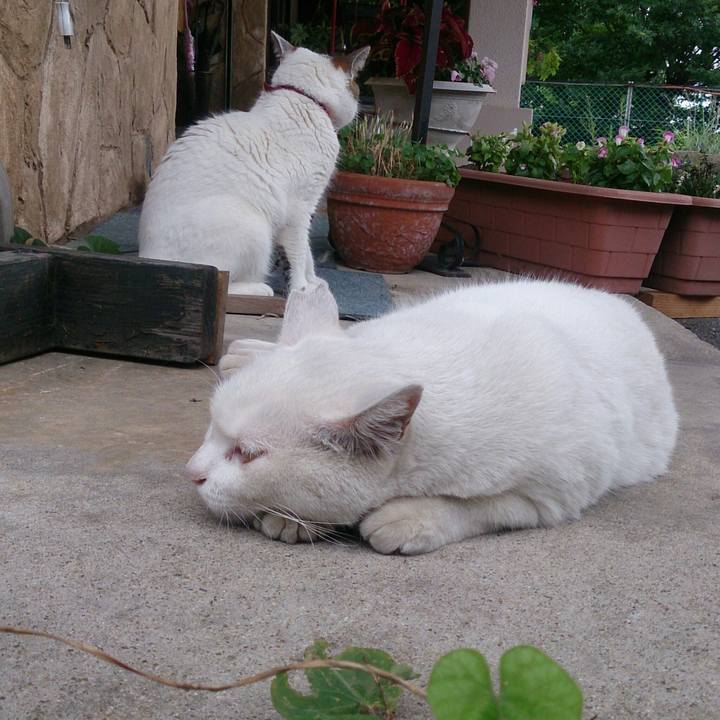 B79c9333 b7f1 4760 a910 3341769d7dd6