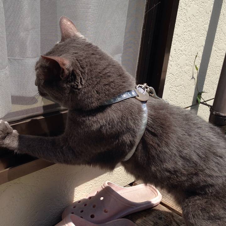 B79dd3db a76a 464c b705 48d291761b35