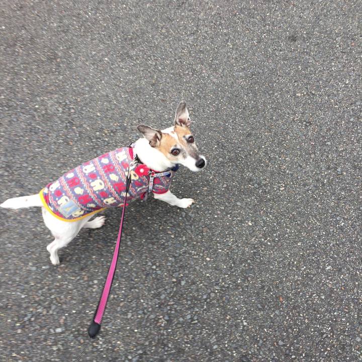 B79df8f3 2c60 4860 9ae5 5987919ce93d