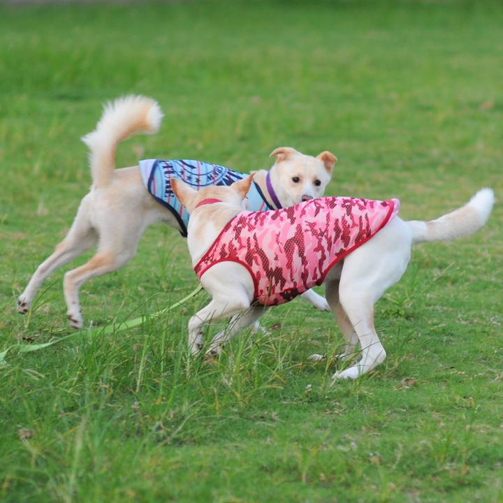 B79f0a9c 0bc8 405b 83fd 0a720a91c830