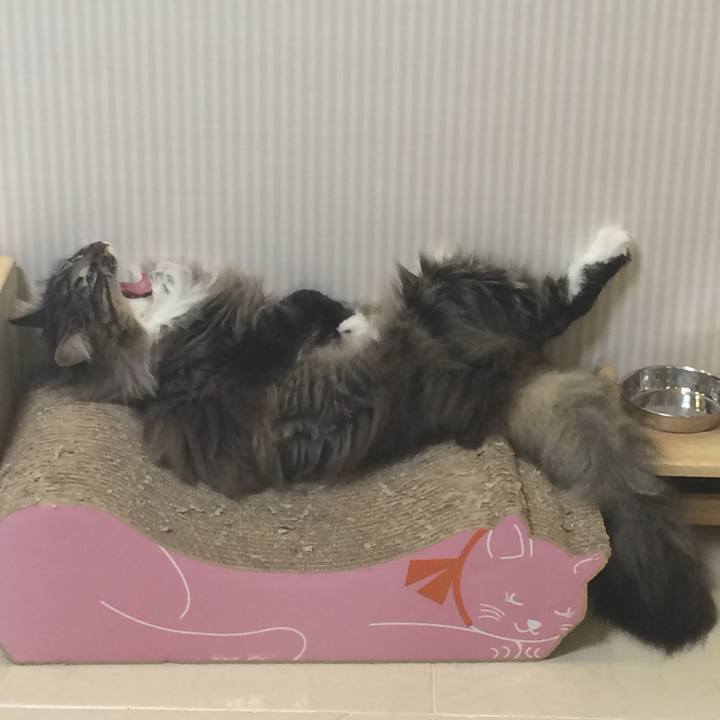 B79f1128 320b 4c98 85bd 3585bee08ece