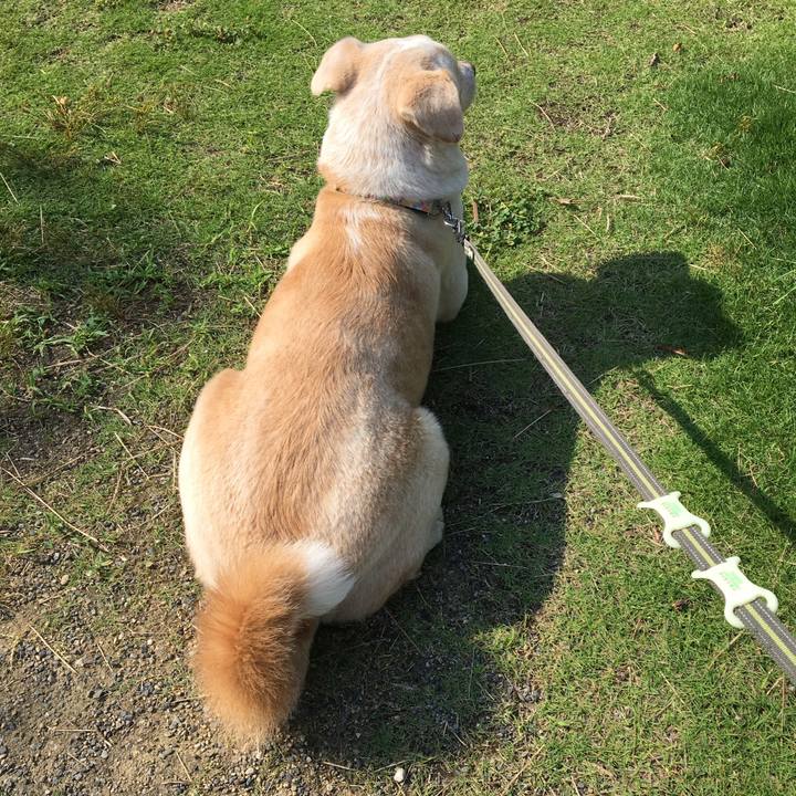 B79f5ed5 ddcd 41d0 8b39 33281f475958