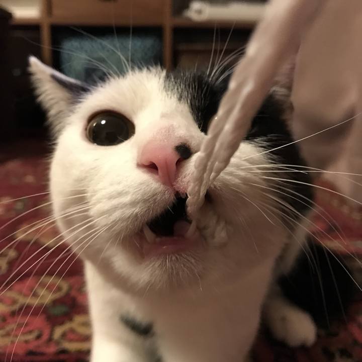 B7a02027 99a3 4042 ba99 152d77191705