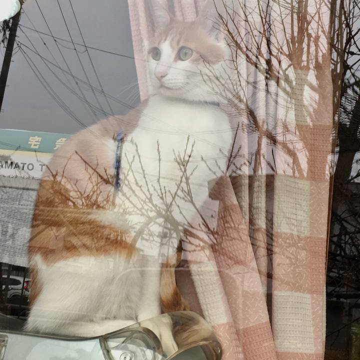 B7a0534b 85e4 445b 85a4 e2b36346d82c