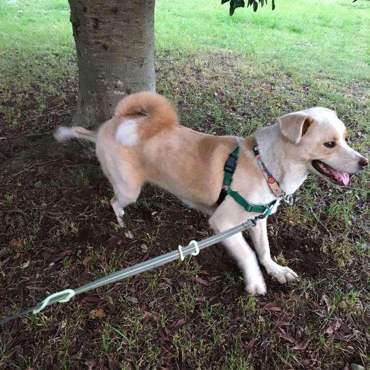 B7a089ab 25ec 4163 b75c 1949df9d122d