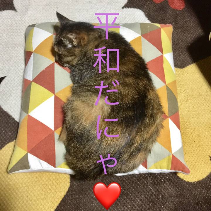 B7a226af 86cc 4148 ba52 08fb9c3636e0