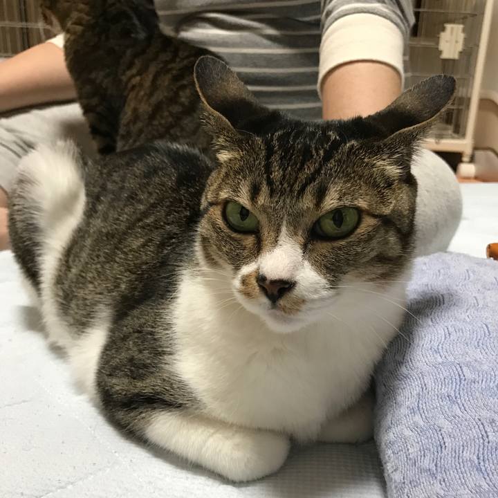 B7a2562b f77c 4dff 8258 aaffb6bcb7ce