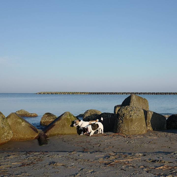 B7a2a100 397b 4422 be1d e011beae5876