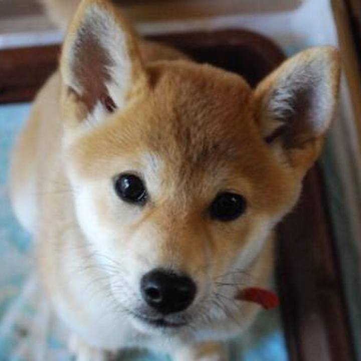 B7a352a2 6d45 44a8 8278 dde2556d73ae