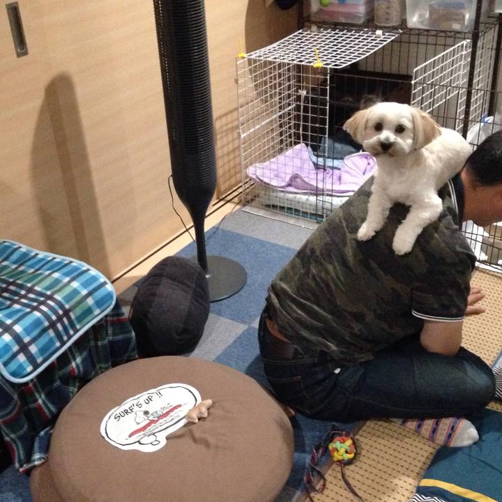 B7a38adf 0fd8 4803 bf51 890a09f2d2ca