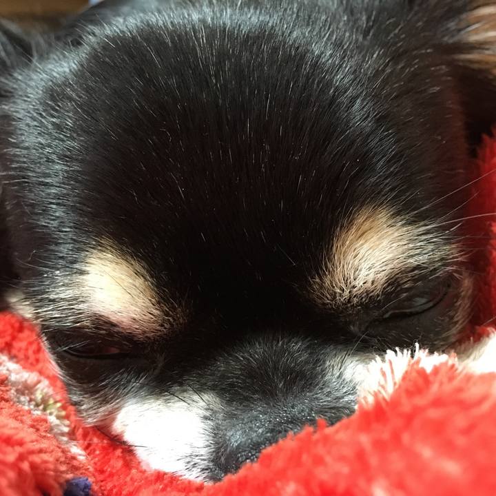 B7a3a598 3c0e 4fc5 9dd3 5e7e07cffc1c