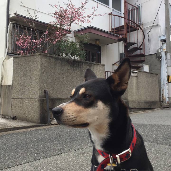 B7a3eff7 c3b9 4829 a2b8 c0c32ab020b9