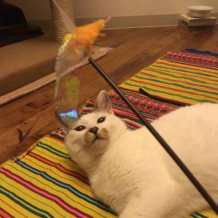 B7a40a8f 7dd7 407e 8349 1d7426f2b6d2